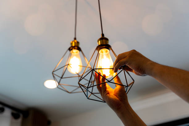 Best Electric Panel Repair  in Butler Beach, FL